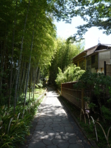 修善寺 竹林の小径