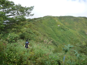 能郷白山 尾根