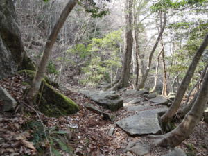 蕪山 登山道